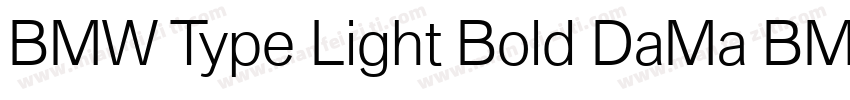 BMW Type Light Bold DaMa BMWType Bo字体转换